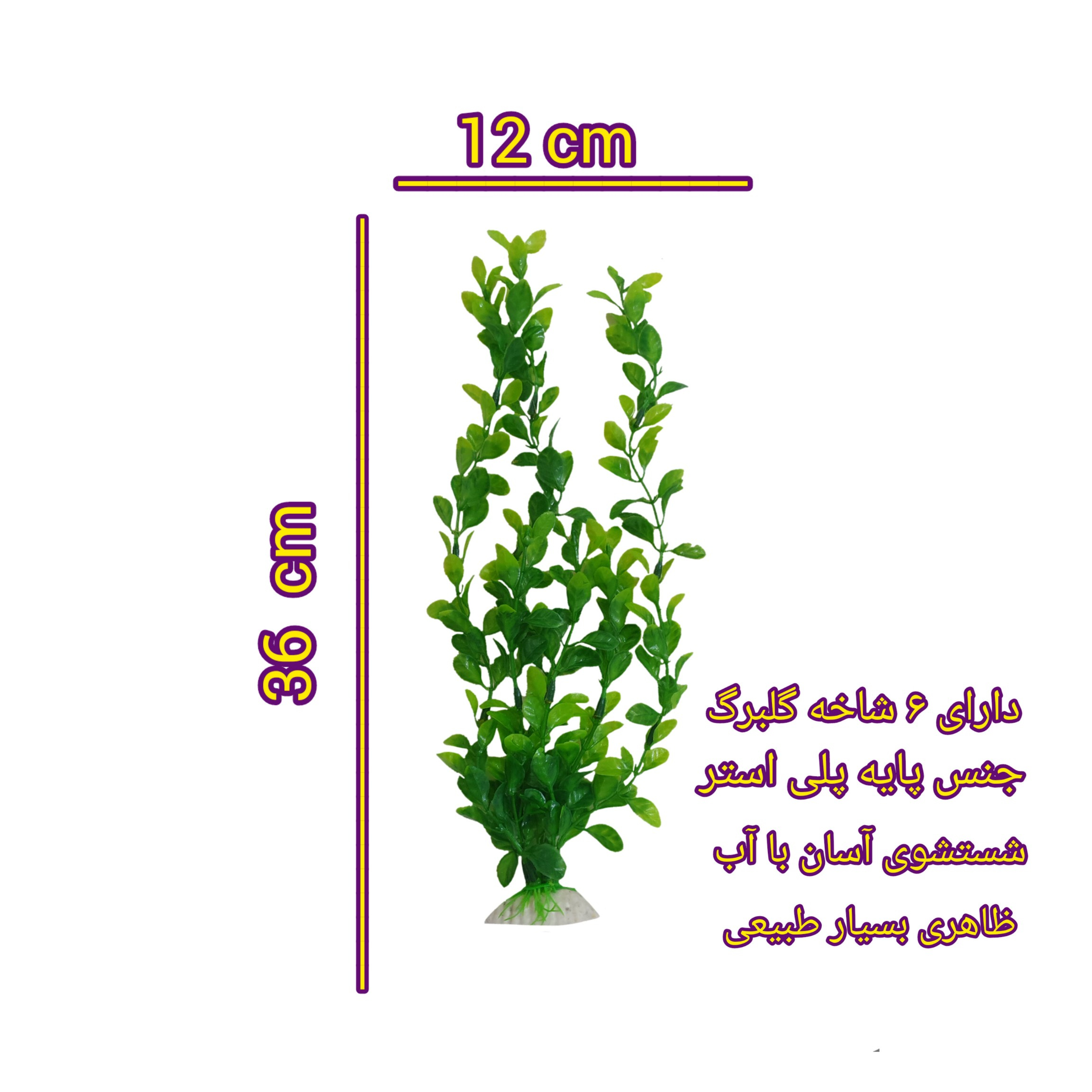 گیاه تزیینی آکواریوم مدل گلبرگ