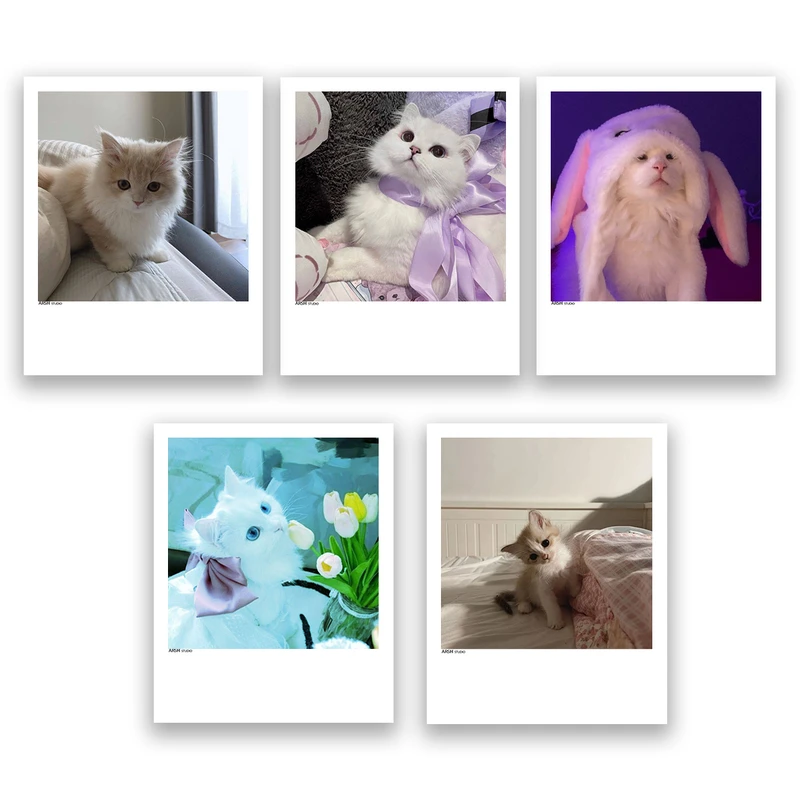 آویز تزیینی عرش مدل فانتزی گربه بامزه کد Asa347 مجموعه پنچ عددی