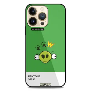 AKAM AMC-WA13PRO-ANGRY BIRDS13 Cover For Apple iPhone 13 Pro