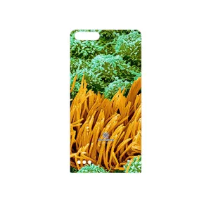 MAHOOT Atom Universe 6 Cover Sticker for Huawei Ascend G6