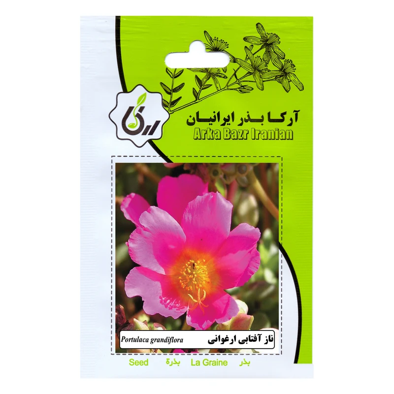 بذر گل ناز آفتابی ارغوانی آرکا بذر ایرانیان کد 170-ARK