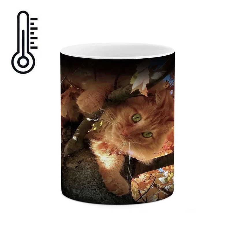 ماگ حرارتی کاکتی مدل گربه کد mgh15624