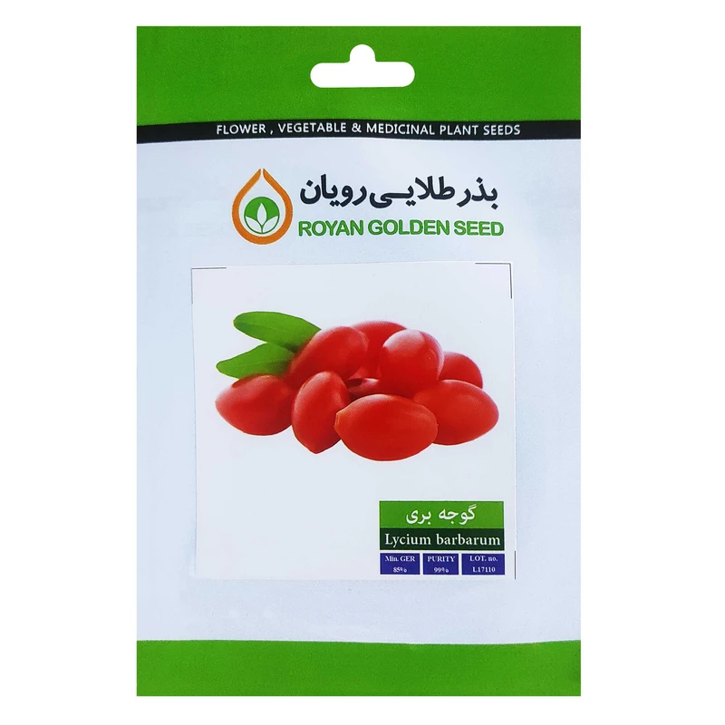 بذر گوجه بری بذر طلایی رویان کد BZT-160