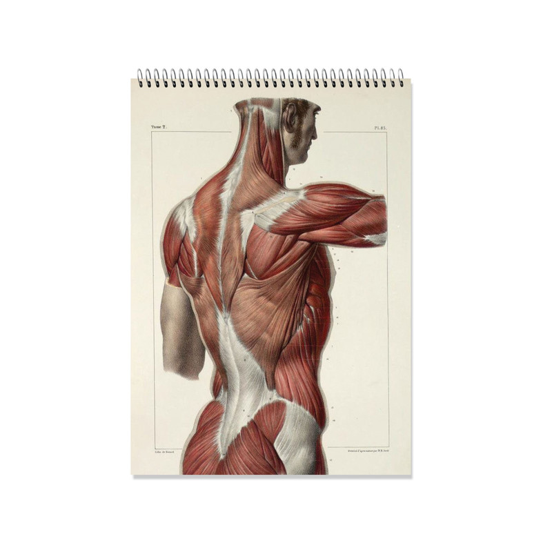 دفتر شطرنجی 200 برگ طرح آناتومی