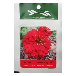 بذر گل آهار پاکوتاه قرمز وانیا سید مدل O17