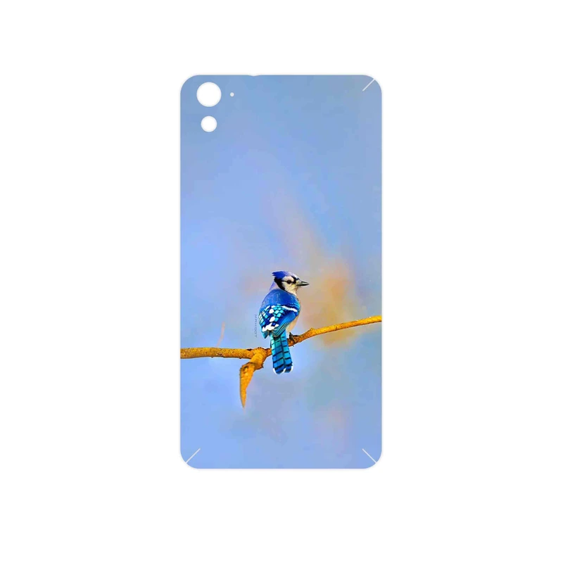 برچسب پوششی ماهوت مدل Cyanocitta cristata مناسب برای گوشی موبایل اچ تی سی One E9s