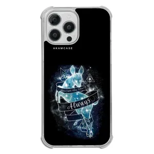 AKAM AMCWTA13PROMAX-HARRY POTTER2 Cover For Apple iPhone 13 Pro Max