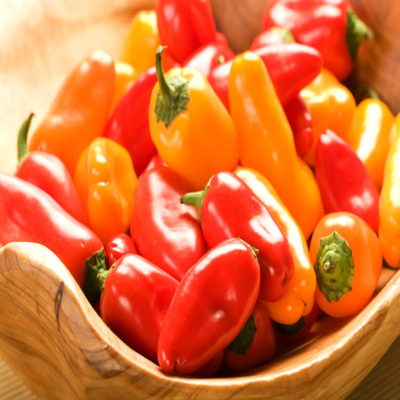 بذر فلفل چارلیستون میکس سانیا سید مدل B5