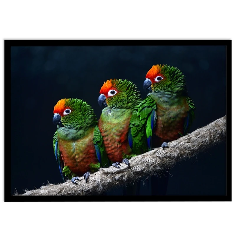 تابلو نوری بکلیت طرح پرندگان طوطی مدل B-S1612