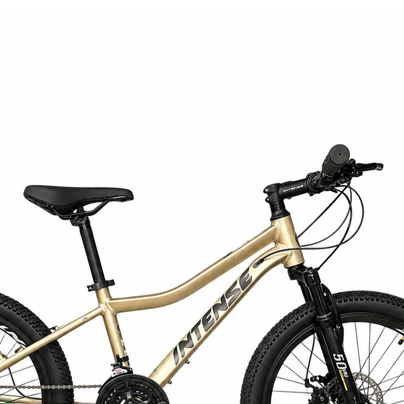 دوچرخه اینتنس مدل Wild Rider سایز 20 کد 2343
