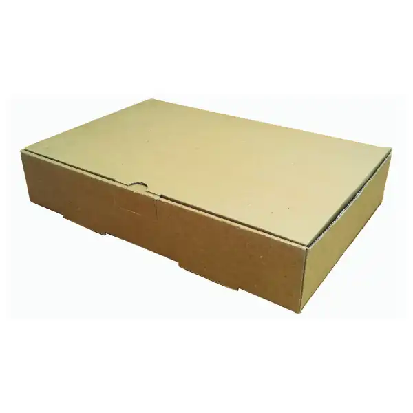 جعبه بسته بندی مدل غذای بیرون بر دو پرسی کد G3 بسته 100 عددی