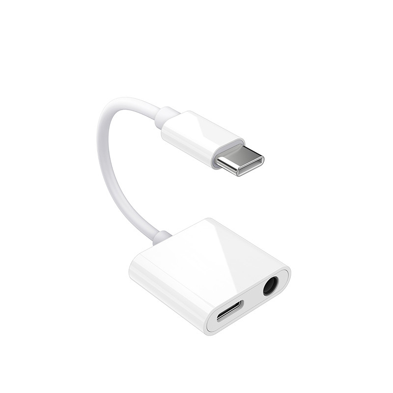 تبدیل USB-C به جک 3.5 میلی متر رسی مدل RDS-A02 