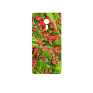 MAHOOT Atom Universe 3 Cover Sticker for Lenovo ZUK Z2 Pro