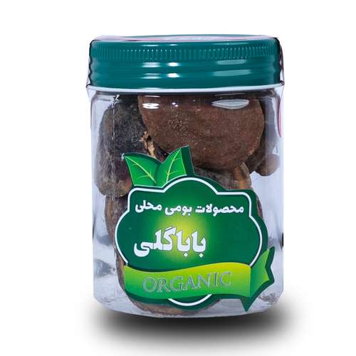 قارچ گانودرما ممتاز باباگلی - 25 گرم
