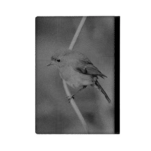 کلاسور مدل پرنده کد 564