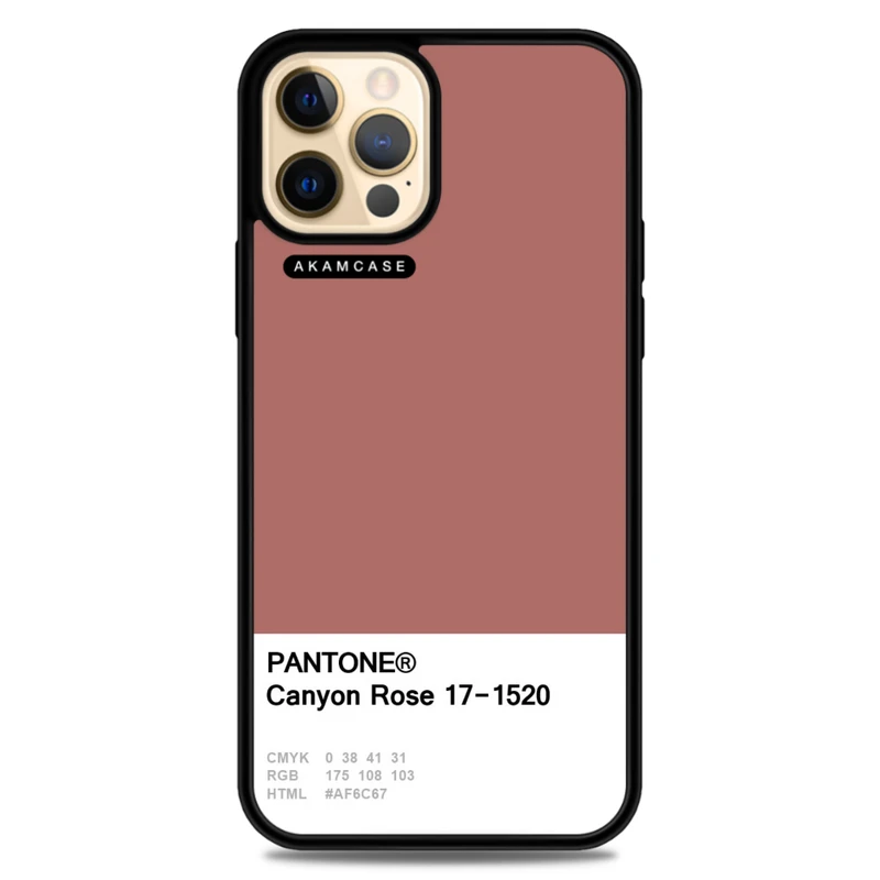 کاور آکام مدل AMC-WA12PRO-PANTONE-17 مناسب برای گوشی موبایل اپل iPhone 12 Pro