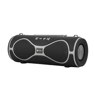 Portable Wireless Speaker Proone PSB4106