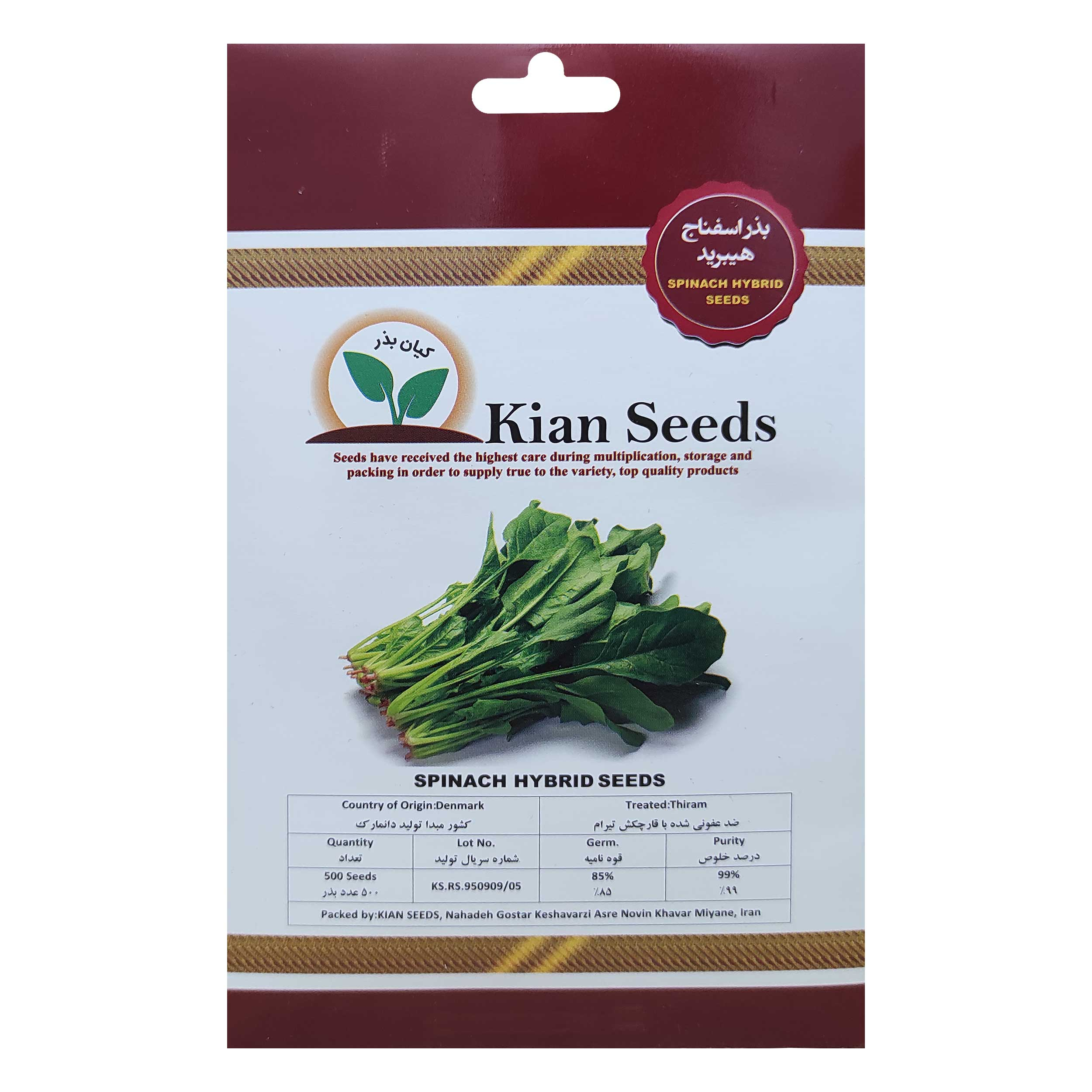 بذر اسفناج هیبرید کیان بذر کد KBZ-01