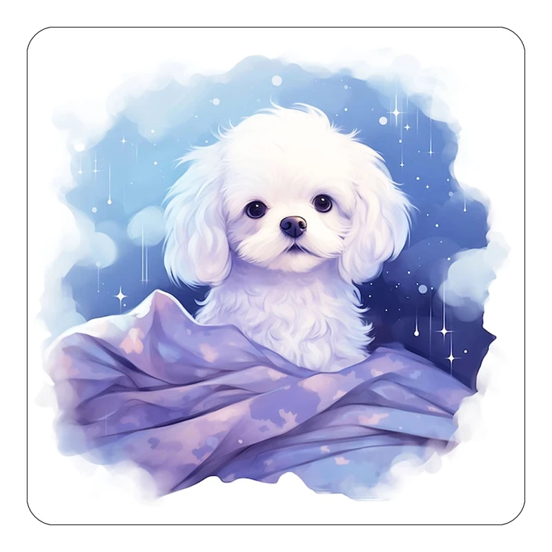 مگنت کاکتی طرح شازده کوچولو مدل mp35897