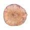 آنباکس تخته چوب مدل تخته چوب خام توسط آرزو امیری در تاریخ ۱۴ تیر ۱۴۰۰