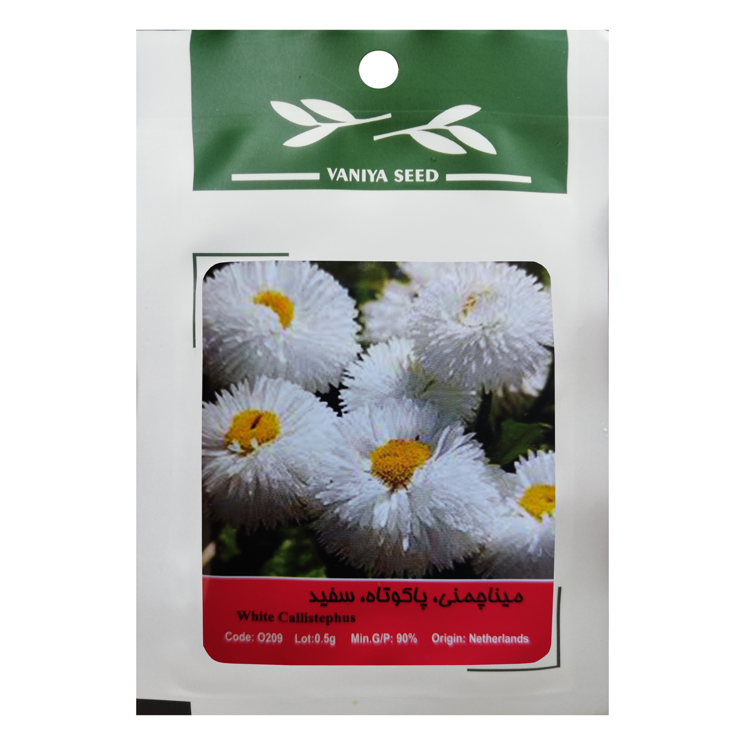 بذر گل مینا چمنی پاکوتاه سفید وانیا سید مدل O209