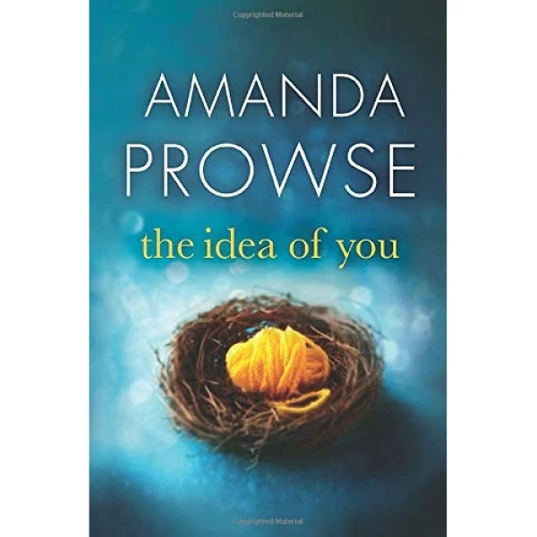 کتاب The Idea of You اثر  Amanda Prowse انتشارات تازه ها