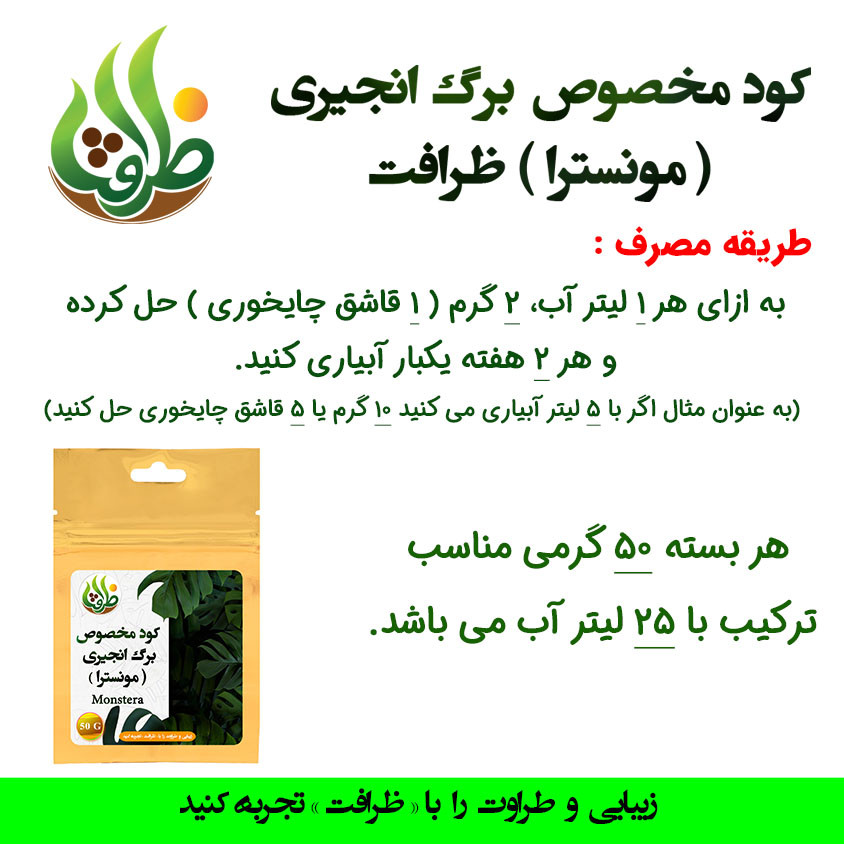 کود تقویتی مخصوص برگ انجیری ظرافت مدل KO21043 وزن 50 گرم