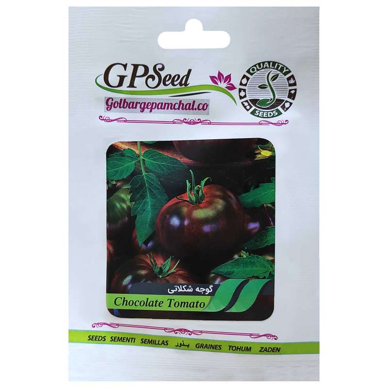 بذر گوجه شکلاتی گلبرگ پامچال کد GPF-204