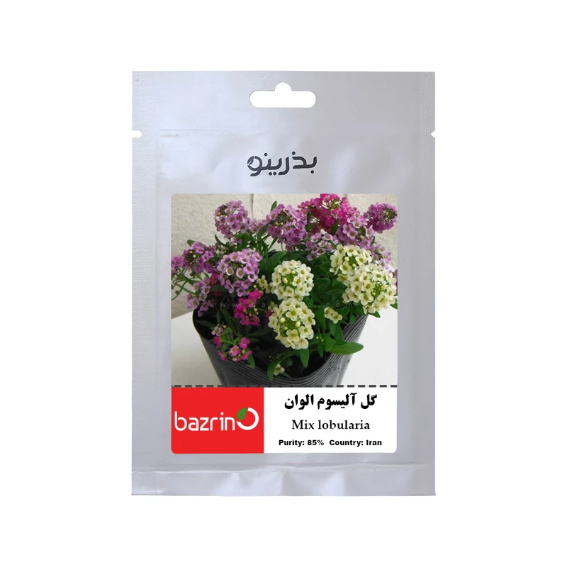 بذر گل آلیسوم الوان بذرینو کد BZNO-011