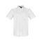 پیراهن آستین کوتاه مردانه بادی اسپینر مدل 1106 کد 1 رنگ سفید