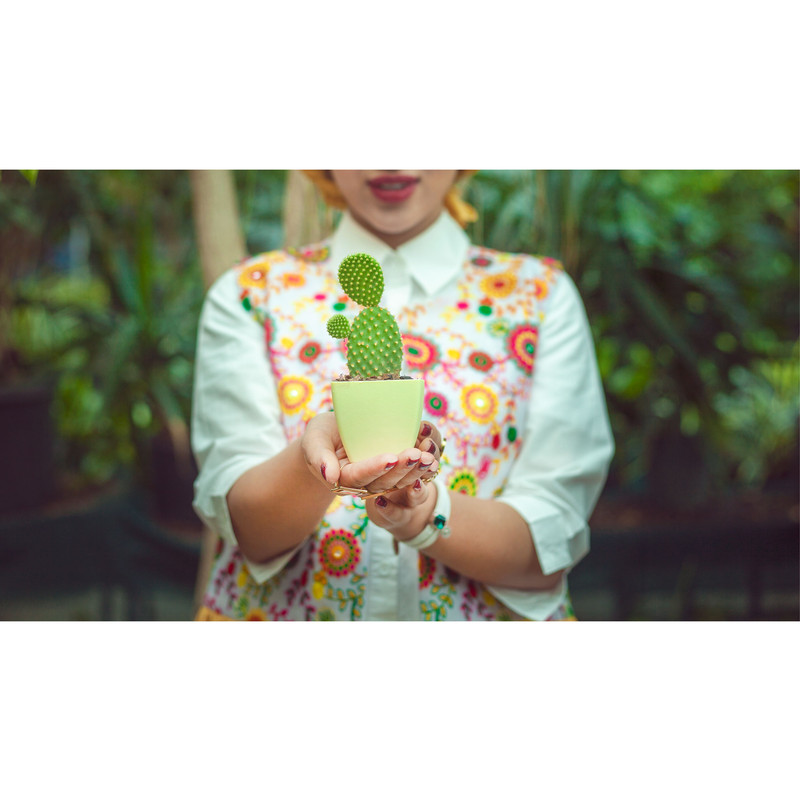 گلدان گل آذین مدل پلاستیکی مربع کد 7 مجموعه 7 عددی