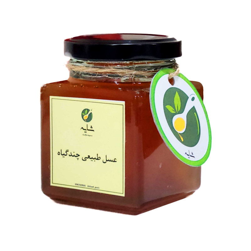 عسل طبیعی چندگیاه شایه - 250 گرم