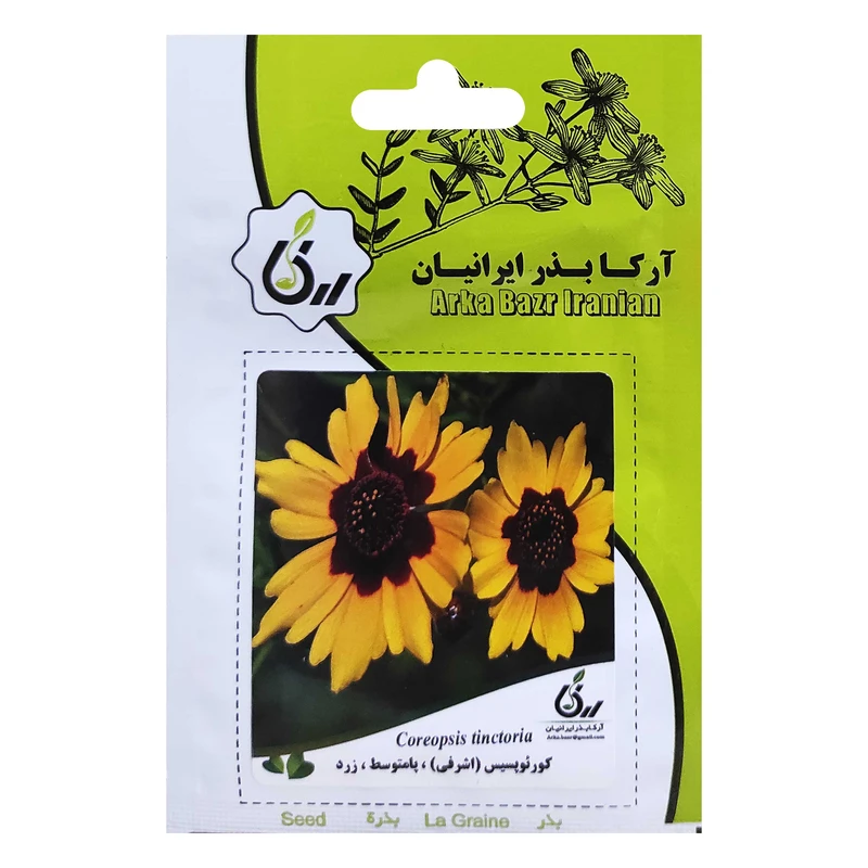 بذر گل اشرفی پامتوسط زرد آرکا بذر ایرانیان کد ARK-008 