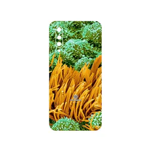 MAHOOT Atom Universe 6 Cover Sticker for Xiaomi MI 9 Lite
