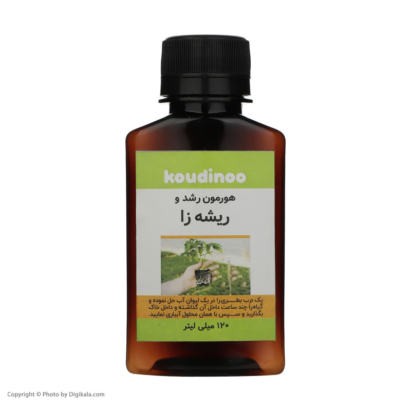 هورمون ریشه زایی کودینو مدل K-21 وزن 120 گرم