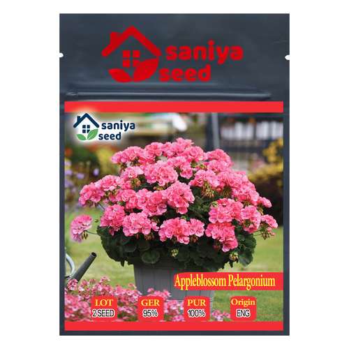 بذر گل شمعدانی اپل بلوسوم سانیا سید مدل SH4