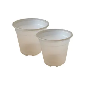 گلدان مدل  ارکیده G.O.sh-162 بسته 2 عددی