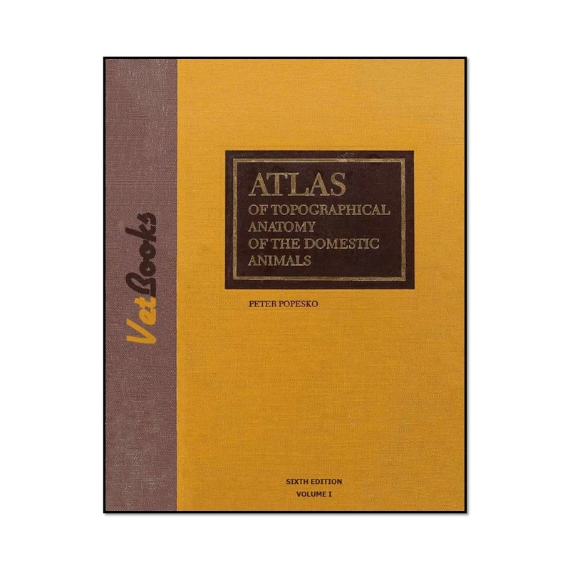کتاب Atlas of Topographical Anatomy of the Domestic Animals 2nd Edition اثر Peter Popesko انتشارات مؤلفین طلایی 
