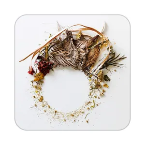 زیر لیوانی کاکتی طرح گل مدل mp19237