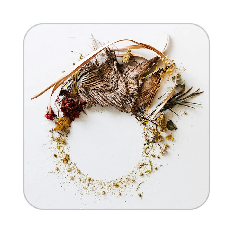 زیر لیوانی کاکتی طرح گل مدل mp19237