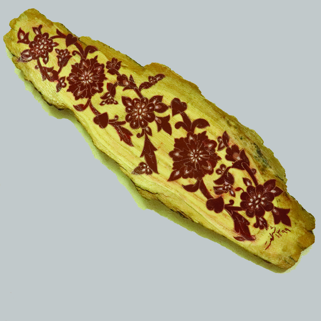 جاعودی مدل تشعیر