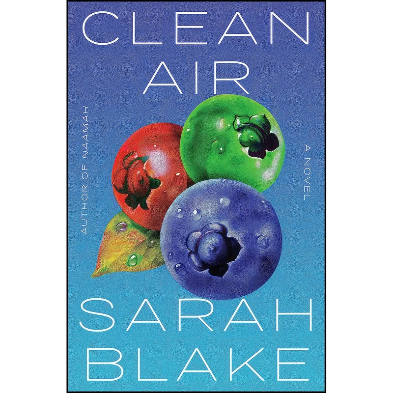 کتاب Clean Air اثر Sarah Blake انتشارات Algonquin Books
