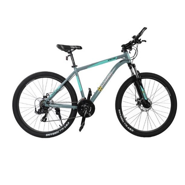 دوچرخه کوهستان دبلیو استاندارد مدل TY500 سایز 29 -  - 1