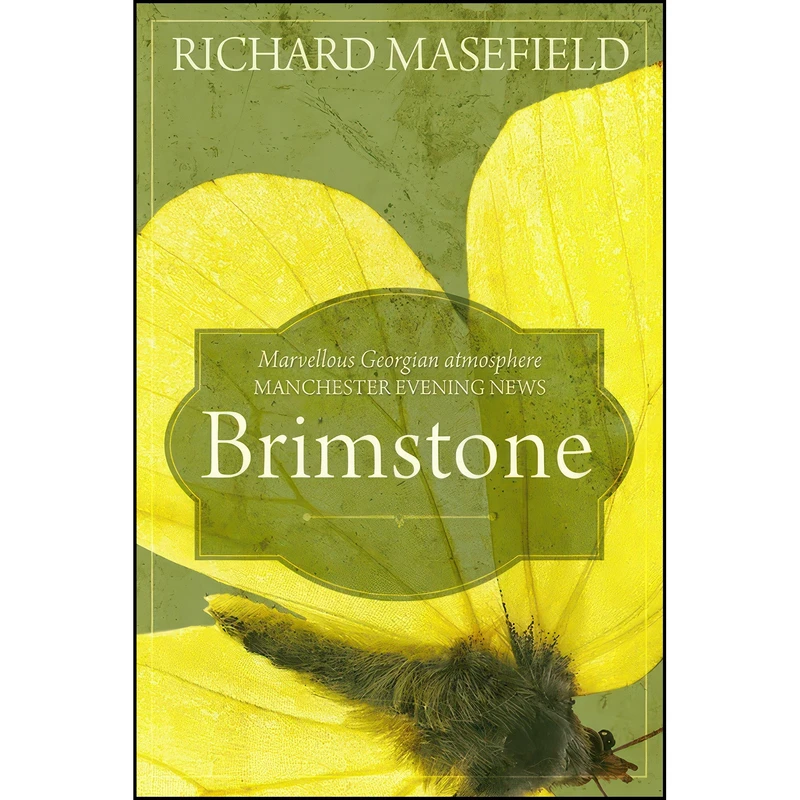 کتاب Brimstone اثر Richard Masefield انتشارات RedDoor Press