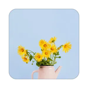 زیر لیوانی کاکتی طرح گل مدل mp17635