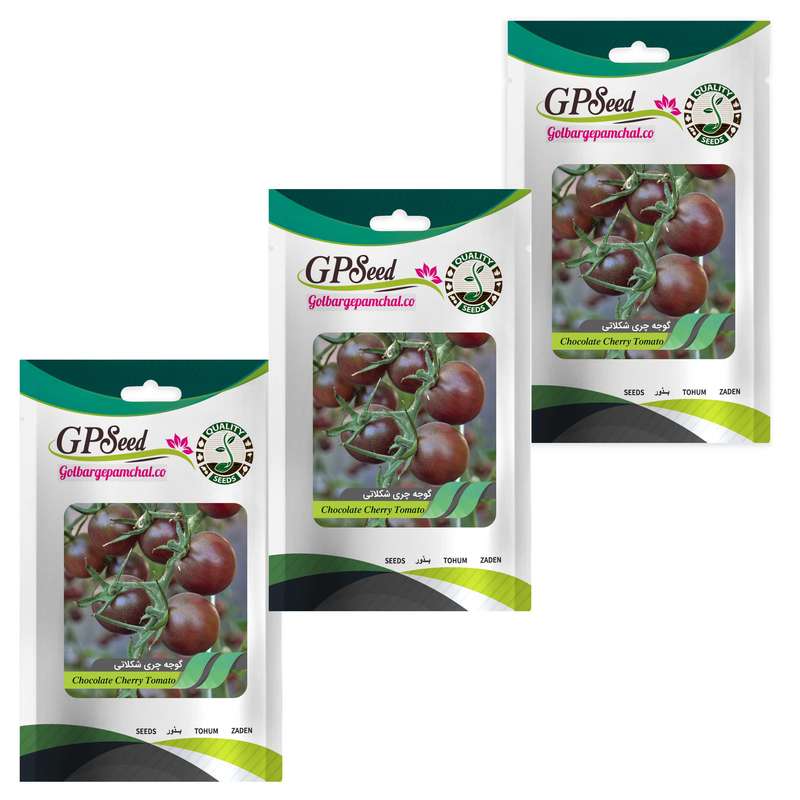بذر گوجه چری شکلاتی گلبرگ پامچال کد GPF-201 مجموعه 3 عددی