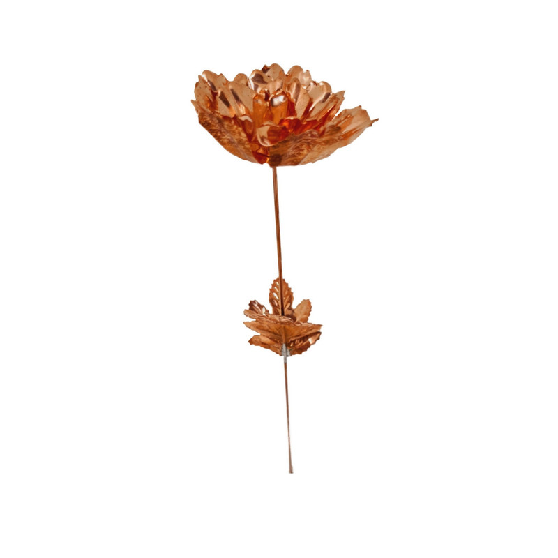 گل مسی مدل رز