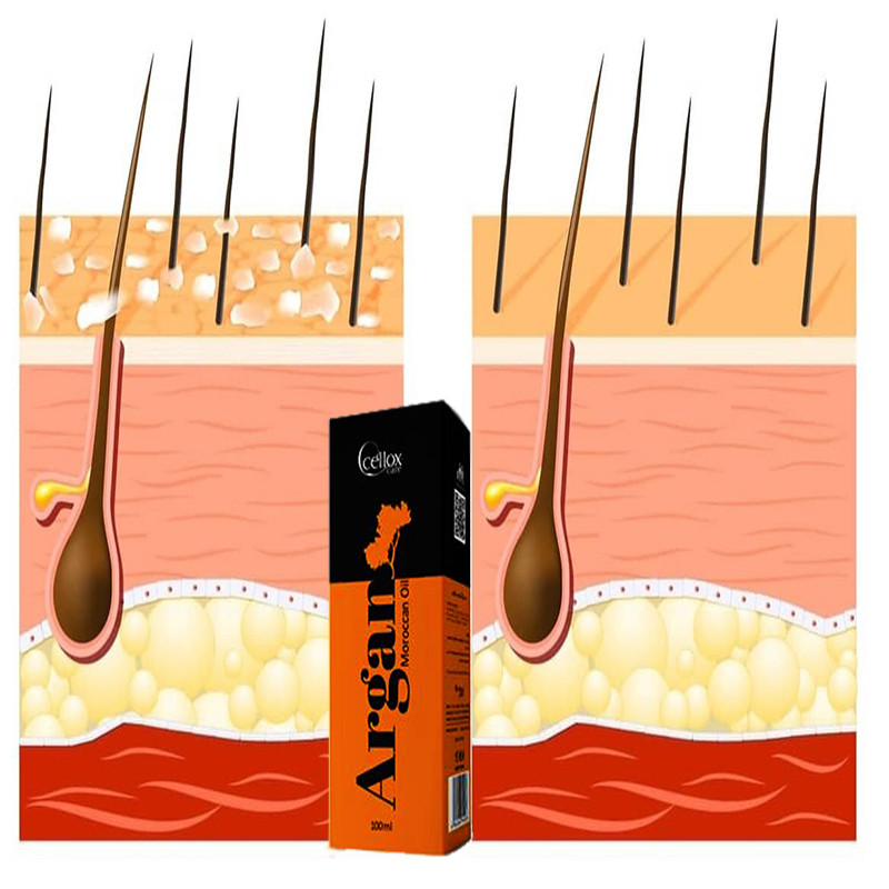 روغن مو سلوکس مدل  آرگان حجم 100 میلی لیتر