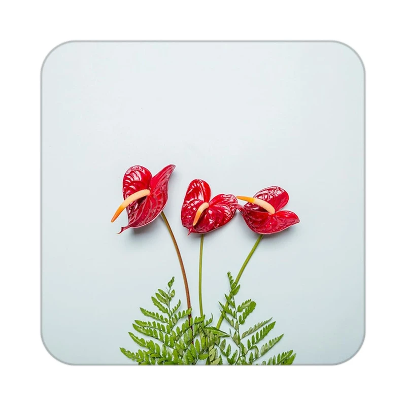 زیر لیوانی کاکتی طرح گل مدل mp18573