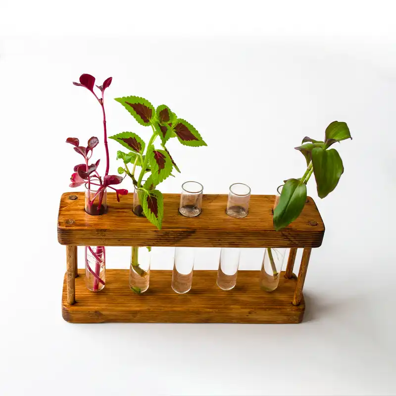 استند گلدان مدل VachGalleryStand1